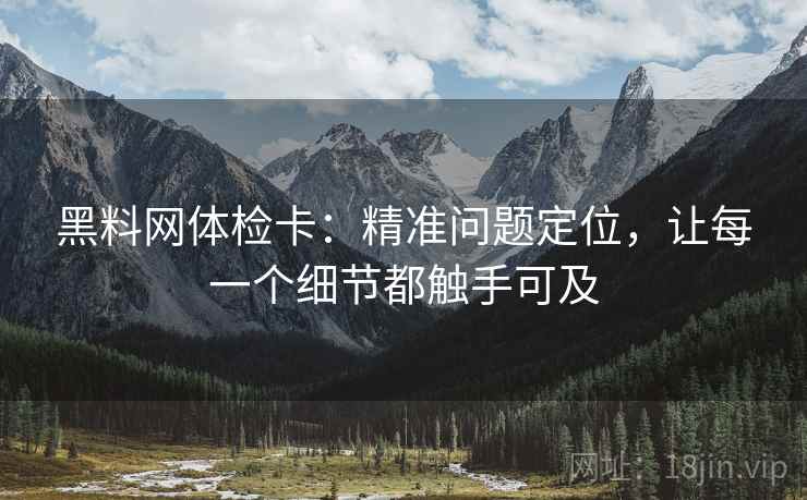 黑料网体检卡:精准问题定位,让每一个细节都触手可及