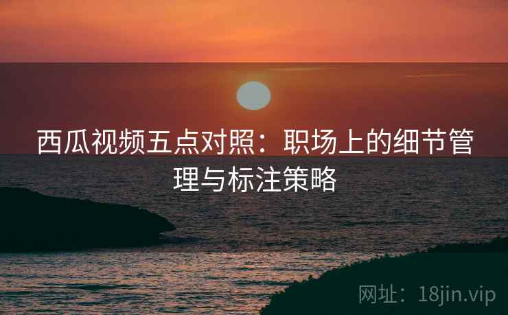 西瓜视频五点对照：职场上的细节管理与标注策略