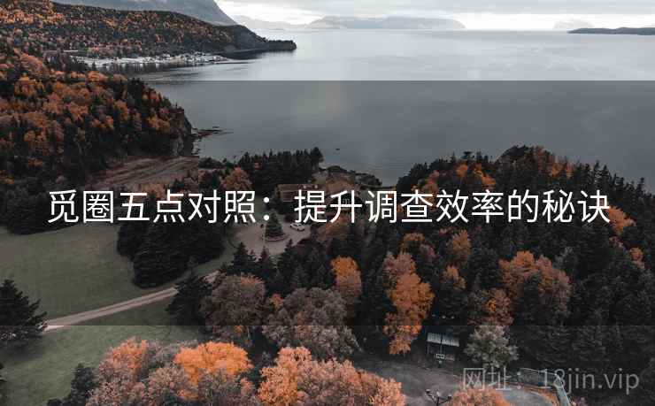 觅圈五点对照：提升调查效率的秘诀