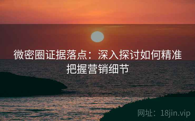 微密圈证据落点：深入探讨如何精准把握营销细节